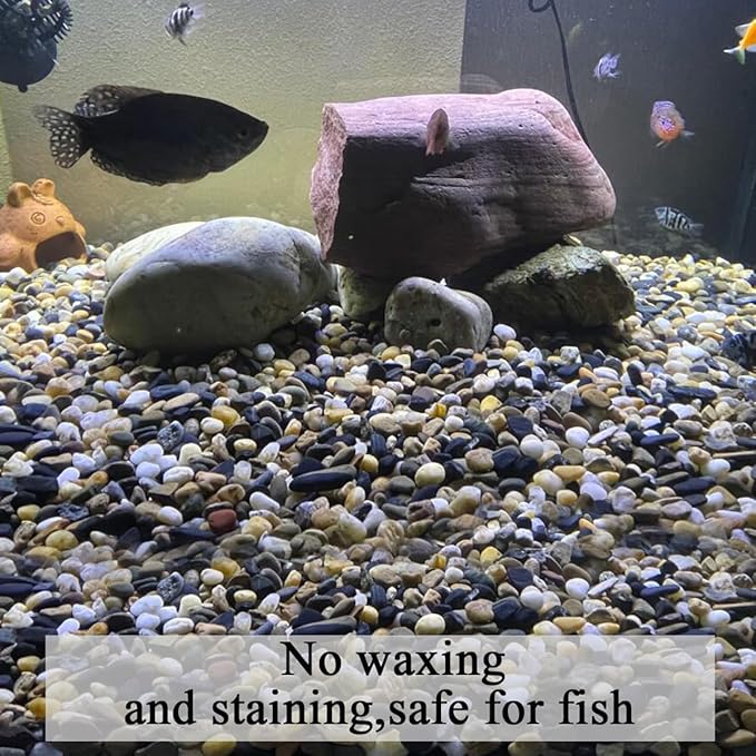 2lbs Aquarium Rocks, 2/5 Inch Pea Gravel for Indoor Plants, Decorative River Rocks for Fish Tank Succulent Vase Plant Soil Cover and Outdoor Landscaping-PurrikoPets