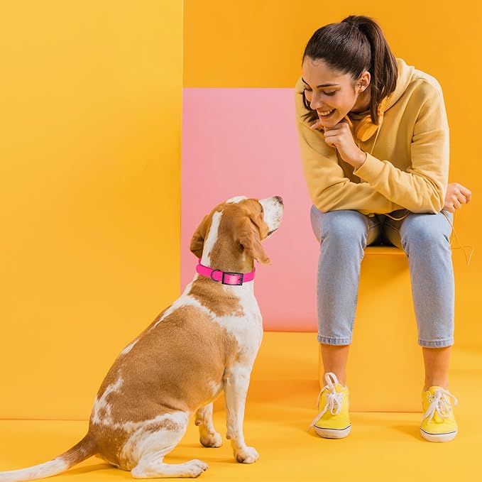 Dogline Biothane Waterproof Dog Collar Strong Coated Nylon Webbing with Black Hardware Odor- Proof for Easy Care Easy to Clean High Performance Fits Small Medium or Large Dogs, Passionfruit Pink-PurrikoPets