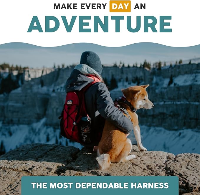 Embark Adventure Dog Harness, Reflective Trim XL Dog Harness for Extra Large Dogs No Pull - Military Grade Nylon, 2 Leash Clips & Gel Lined Handle.-PurrikoPets