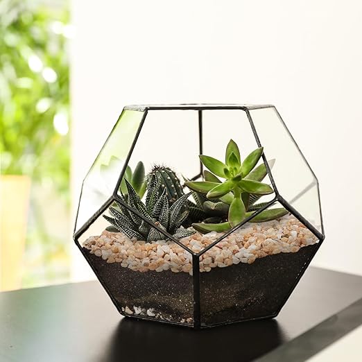 2.5 lbs Coarse Silica Sand for Indoor Plants, 1/5 Inch Natural Decorative Gravel for Vases, Aquariums, Terrarium, Fish Tank, Drainage Rocks for Potted Plants, Bamboo, Succulent, Crafts, Cactus-PurrikoPets