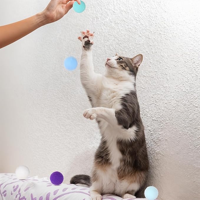 60 Pcs Cat Toy Balls 1-inch Colorful Cat Pom Pom Balls Soft Interactive Cat Balls Cat Play Toy Cat Exercise Toys Cats Interactive Playing Quiet Ball Fuzzy Kitten Ball for Cat Pet-PurrikoPets