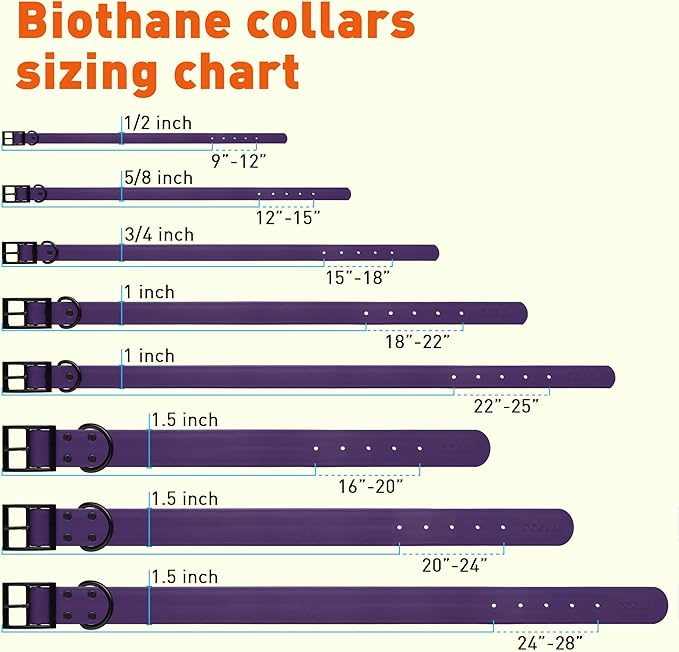 Dogline Biothane Waterproof Dog Collar Strong Coated Nylon Webbing with Black Hardware Odor- Proof for Easy Care Easy to Clean High Performance Fits Small Medium or Large Dogs, Violet Purple-PurrikoPets