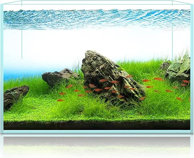 15 Gallon Rimless Aquarium, Ultra Clear Glass Low Iron Rectangular Fish Tank L19.6×W13×H13.8 Inches Thickness 6mm with EVA Foam Mat Included-PurrikoPets