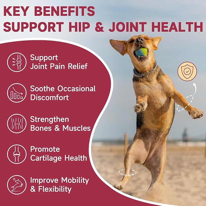 Glucosamine for Dogs - Joint Supplement for Dogs with Chondroitin, MSM, Omega 3, Hemp, Turmeric for Dog Joint Pain Relief, Dog Joint Supplement with Calcium Support Cartilage & Bone Health, 180 Chews-PurrikoPets