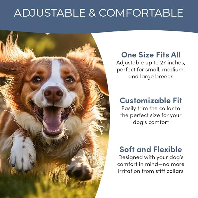 Flea and Tick Collar for Dogs, Cats – Natural Essential Oils – Long-Lasting 8 Month Protection – Waterproof, Adjustable – Safe for Puppies, Kittens, Sensitive Skin-PurrikoPets