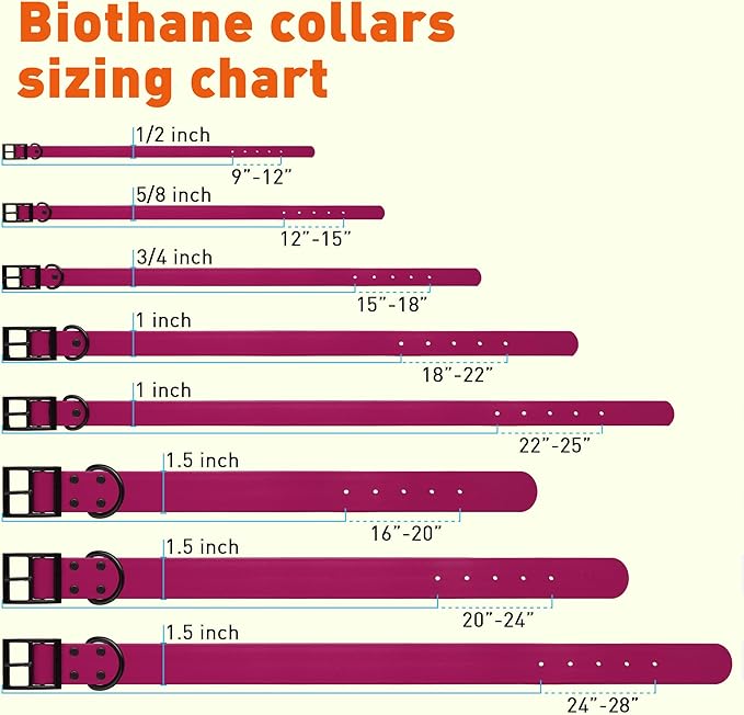 Dogline Biothane Waterproof Dog Collar Strong Coated Nylon Webbing with Black Hardware Odor- Proof for Easy Care Easy to Clean High Performance Fits Small Medium or Large Dogs, Magenta Pink-PurrikoPets