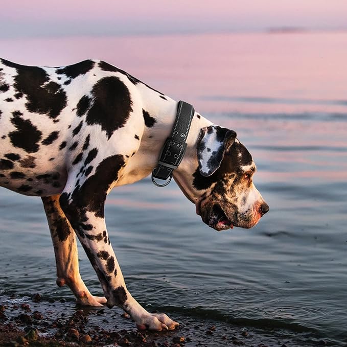 Fida Heavy Duty Dog Collar 1.5” Width, Ultra Soft Neoprene Padded, Adjustable Reflective Nylon Pet Collar with Two Metal Pin Belt Buckle for Large/X-Large Breeds (XL, Black)-PurrikoPets