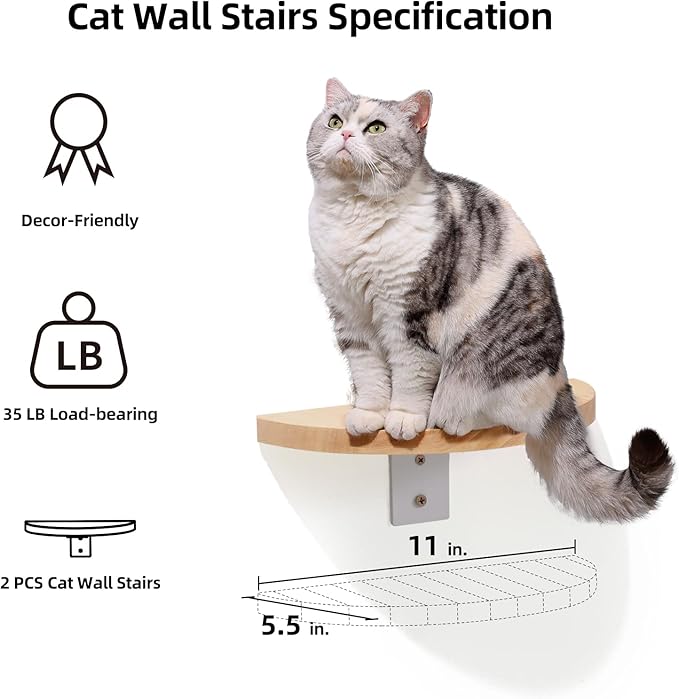 FUKUMARU Cat Wall Furniture Set, Transparent Capsule Kitten Walls Shelves with 2 PCS Pedals - Premium Kitty Bed for Sleeping, Playing, Climbing, and Lounging - Easily Holds Up to 35 Lbs-PurrikoPets