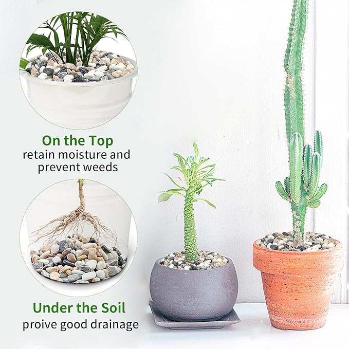 10 lbs Pebbles for Landscaping, 3/8 Inch Pea Gravel Decorative River Rocks for Succulent, Cactus, Vases, Terrarium, Aquarium, Potted Top Dressing and Outdoor Garden-PurrikoPets