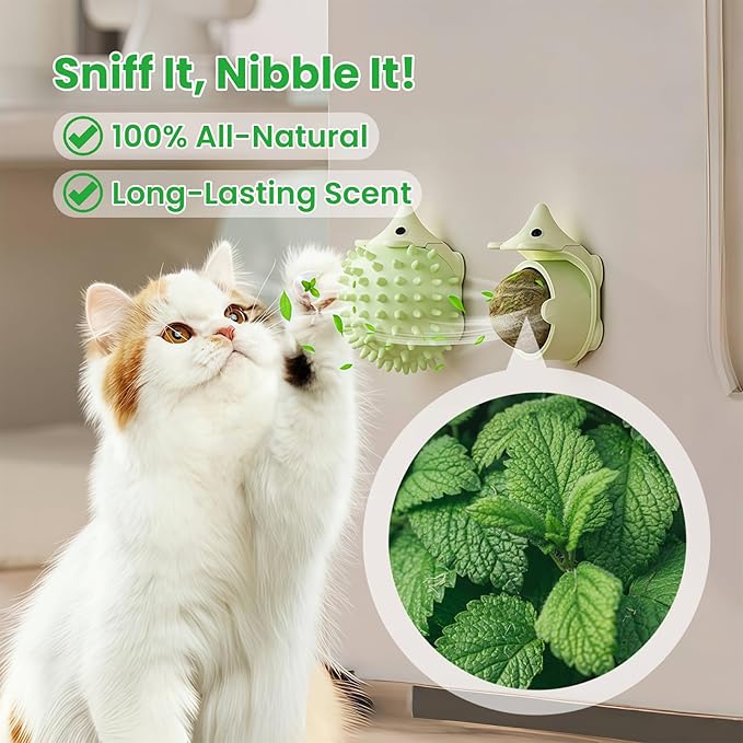 6 Pcs Catnip Ball Toys with Rubbing Shell, Lickable Roller Catnip Toys for Cats Chew, Edible and Refillable Kitten Toys, Teeth Cleaning Dental Indoor Cat Treats Toys, 3 Shells 6 Balls-PurrikoPets