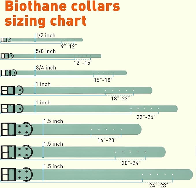 Dogline Biothane Waterproof Dog Collar Strong Coated Nylon Webbing with Black Hardware Odor- Proof for Easy Care Easy to Clean High Performance Fits Small Medium or Large Dogs, Sage Green-PurrikoPets