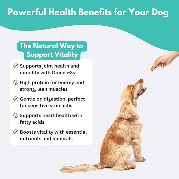 ALFIE'S TREATOS Tuna for Dogs & Cats (2.65 oz), Air-Dried Dog Treats, Omega-3 Food Topper & Training Reward, Australian Wild-Caught, Single Ingredient, Freeze-Dried Alternative-PurrikoPets