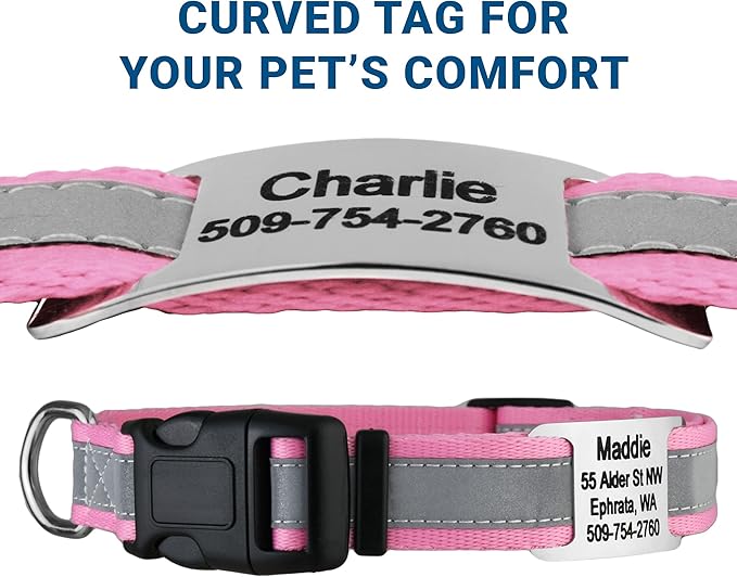 GoTags Reflective Personalized Dog Collar with Nameplate, Adjustable Dog Collar with Custom Engraved Steel Slide On Pet ID Tag, Silent, No Noise Dog Tag for Large Medium or Small (Pink, Large)-PurrikoPets
