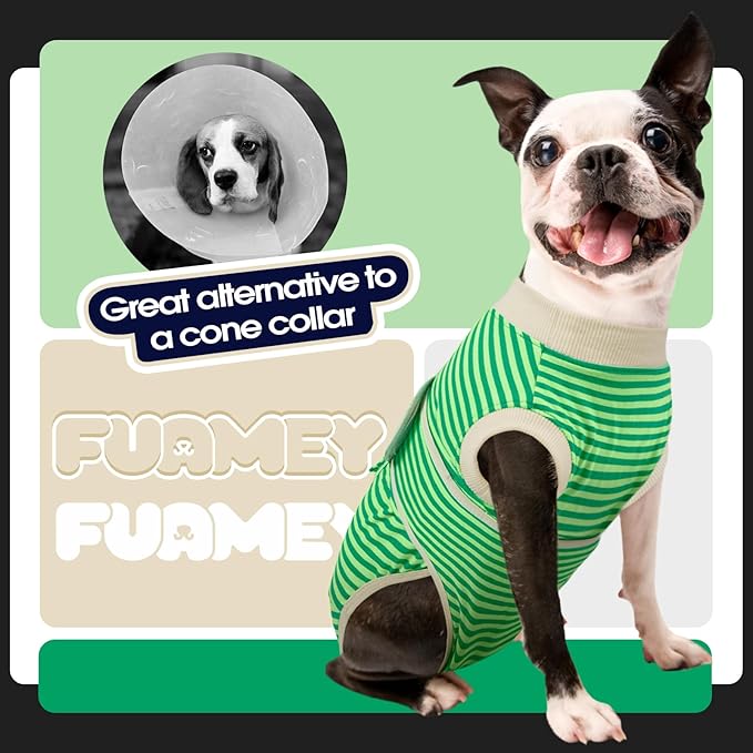 FUAMEY Dog Recovery Suit Male,Dogs Surgery Neuter Suits Puppy Spay Shirts for Female Protect Dog's Skin Anti Licking Abdominal Wounds Doggie Onesie Pet Bodysuit Alternative to Cone Green Stripes S-PurrikoPets