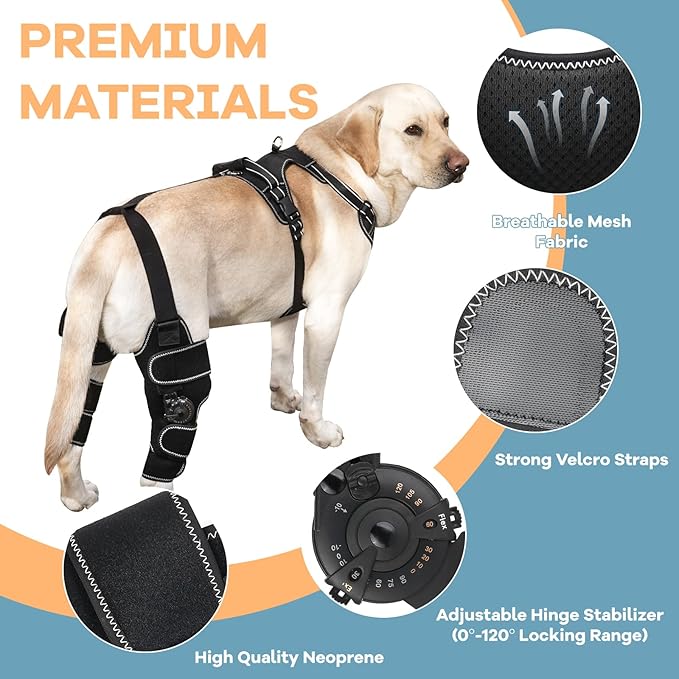Dog Knee Brace with Adjustable Support – ACL & CCL Tear Recovery, Post-Surgery Stabilization, Mobility Aid for Rear Legs – Includes Secure Chest Harness for Dogs(Right,M)-PurrikoPets