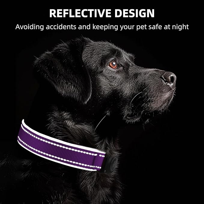 Airtag Dog Collar - 100% Waterproof Air tag Dog Collar Holder for Apple AirTag, Reflective, Soft Padded, Everlasting, GPS Dog Collar for Small Medium Large Dogs (Purple, L)-PurrikoPets