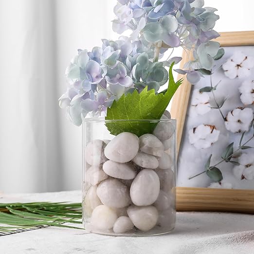 DomeStar 2.7lb White River Rocks, Polished Pebbles Decorative White Stones for Landscaping Vase Filler Fish Tank Aquariums Garden Outdoor and Indoor DIY-PurrikoPets