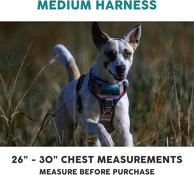 Embark Adventure Dog Harness, Reflective Trim No Pull Harness for Medium Sized Dog - Military Grade Nylon, Front Clip with Gel Lined Handle. Soft & Padded Puppy-PurrikoPets