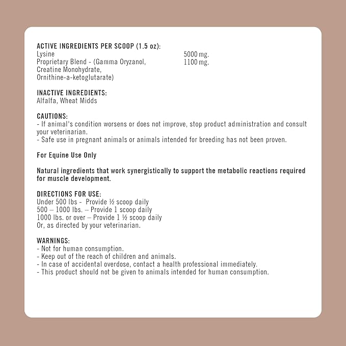 Formula 707 MuscleMx Equine Supplement, 10 lb Bag – Conditioning Support and Muscle Builder for Horses with Lysine, Gamma Oryzanol, Creatine & OKG-PurrikoPets