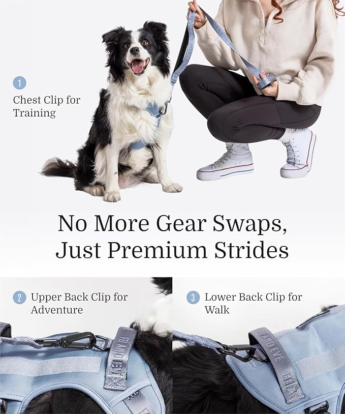 2025 New Edition, Fei & Eve MagEase Dog Harness - 3-Second Magnetic Buckles | 3-Point No-Pull Control | Heavy-Duty 900D Nylon | Dual Safety Handles | Breathable Mesh | Adjustable Fit |Small, Blue-PurrikoPets