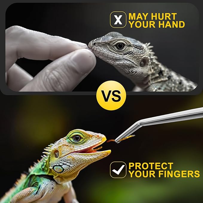 2pcs Reptile Feeding Tongs, Feeding Spoon, Stainless Steel Aquarium Feeding Tools, Curved Long Tweezers 10.6 in, Long Spoon 10 in (Coffee Spoon) for Feeding Lizards, Bearded Dragons and More.-PurrikoPets