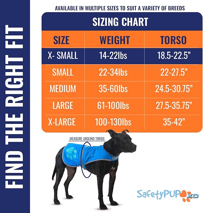 Dog Reflective Vest – Hi-Vis Fluorescent Visibility That Helps to Safeguard Your Pet On/Off Leash in Urban & Rural Areas (Blue, X-Small)-PurrikoPets