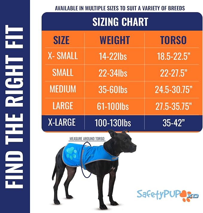 Dog Reflective Vest – Hi-Vis Fluorescent Visibility That Helps to Safeguard Your Pet On/Off Leash in Urban & Rural Areas (Blue, X-Large)-PurrikoPets