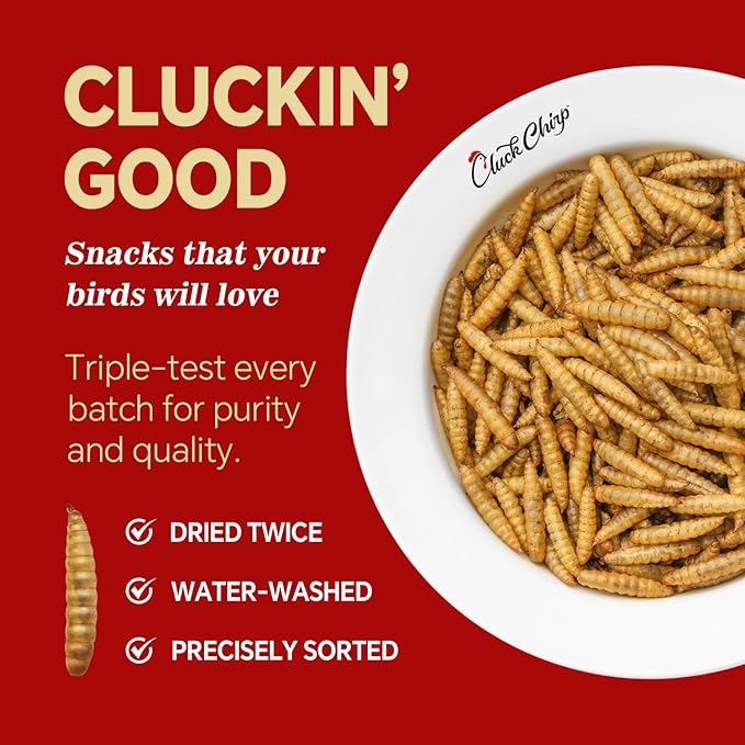 Dried Black Soldier Fly Larvae, Non-GMO, Natural Chicken Treats & High-Protein Poultry Snacks for Backyard Chickens, Laying Hens & Ducks, 2.5 lb Box-PurrikoPets