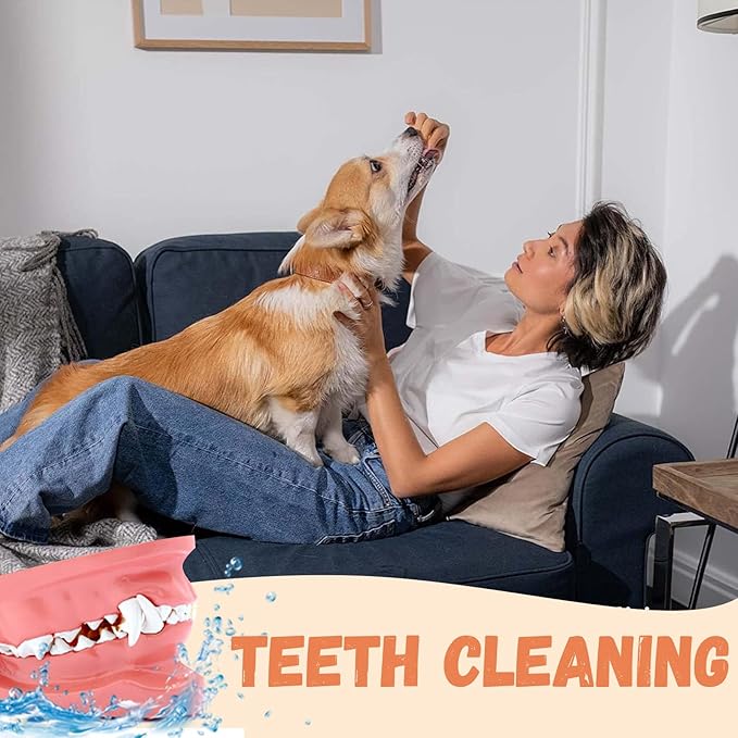 Dog Treats Chicken Jerky Strips for Dogs, Natural Healthy Dog Jekry with Taurine, Real Chicken Twists High Protain Low Fat, Training Rewards Treats for Small Medium Large Dogs 10.6 oz-PurrikoPets