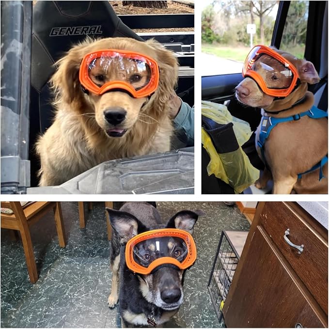 Dog Sunglasses UV Protection Clear Dog Goggles Windproof Glasses with Elastic Straps for Medium-Large Breed, Orange Frame + Clear Lens-PurrikoPets