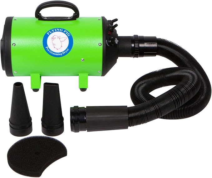 Flying Pig High Velocity Dog Pet Grooming Dryer w/Heater (Model: Flying One, Green)-PurrikoPets
