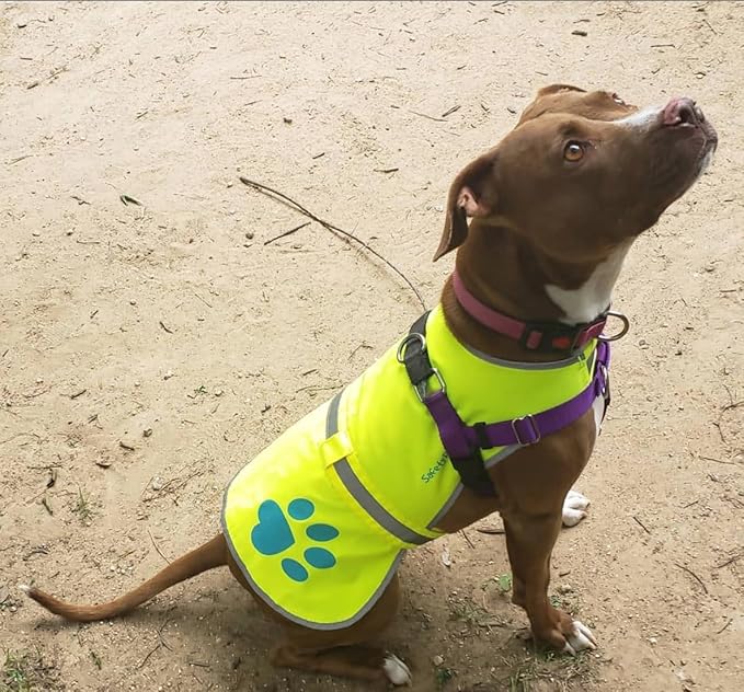 Dog Reflective Vest – Hi-Vis Fluorescent Visibility That Helps to Safeguard Your Pet On/Off Leash in Urban & Rural Areas (Yellow, Large)-PurrikoPets