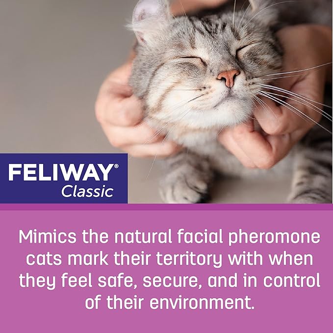 FELIWAY® Classic 30 Day Cat Calming Refill for Pheromone Diffuser, 48ml - Helps Reduce Common Signs of Stress in Cats & Kittens, Enhanced Calming-PurrikoPets