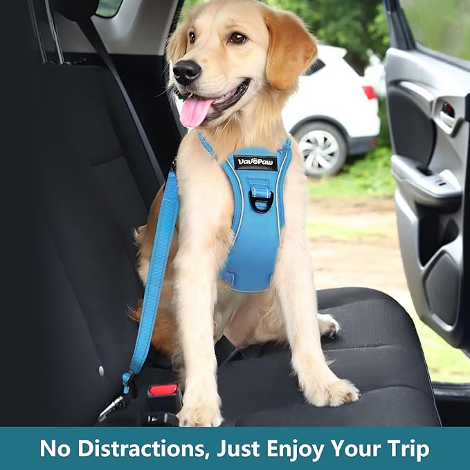 Dog Seat Belt Harness for Car, Dog Car Harness Adjustable Mesh Breathable & Dogs Seatbelt Safety Tether with Elastic Bungee for Small Medium Large Pets(Blue, M)-PurrikoPets