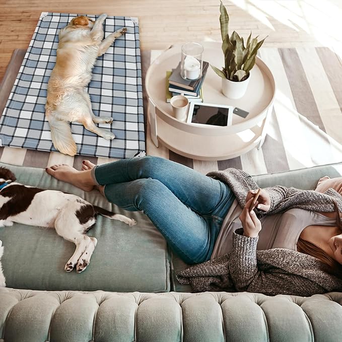 Elevated Outdoor Raised Dog Bed Outdoor Dogs Bed Lifted Pet Hammock Bed Dog Cot for Large Pet Taste Life, Start with A Pet Bed 39'' x 27'' x 6.5''-PurrikoPets