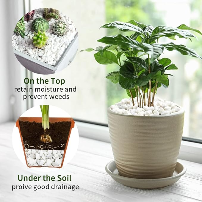 2 lbs White Gravel, 3/8 Inch White Pebbles for Indoor Plants. White Stones for Succulents, Planters, Vase and Outdoor Garden Landscaping-PurrikoPets