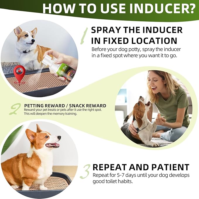 Dog Potty Training Spray for Dogs and Puppies - Go Here Attractant Spray to Pee and Poop in One Spot,Safe & Effective Puppy Pee Spray Indoor & Outdoor-Dog Training & Housebreaking Aid -100ml-PurrikoPets