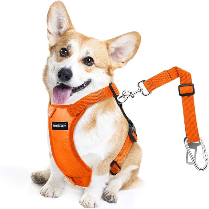 Dog Seat Belt, Safety Vest Dog Car Harness with Adjustable Buckle Dog Seat Belt for Vehicle Nylon Pet Safety Seat Belts Heavy Duty(M, Orange)-PurrikoPets