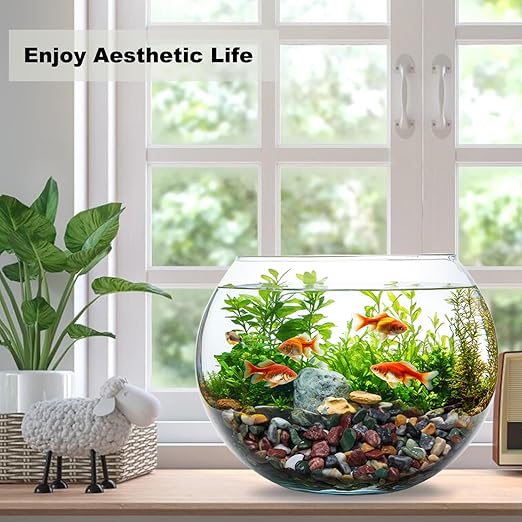 45LB Succulents Rocks for Plants Cactus Gravel Pebbles for Fish Tank 1/2 Inch Natural River Rocks for Vase, Aquarium, Landscaping,Bonsai,Terrarium Pebbles, Mixed Color-PurrikoPets