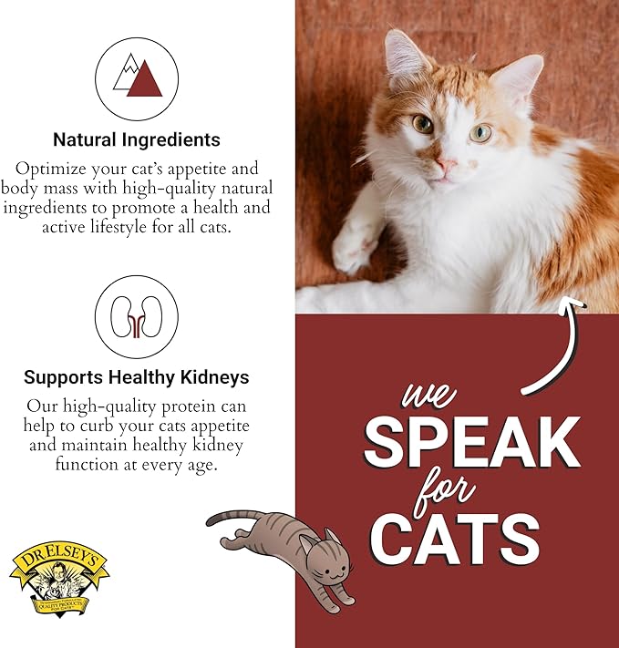 Dr. Elsey's cleanprotein Salmon Recipe Wet Cat Food, Pate 5.3 oz cans (Pack of 24)-PurrikoPets