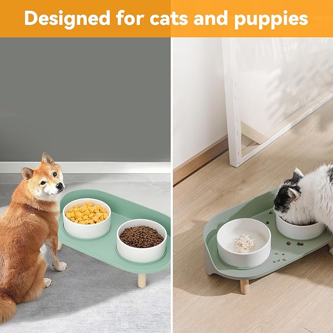 Elevated Dog Bowls Set, Ceramic Pet Food & Water Bowls with Non-Slip Stand, No Spill Design for Cats/Small Medium Dogs Green-PurrikoPets