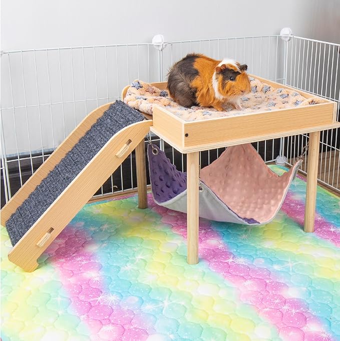 Enlarged Guinea Pig Hammock with Platform and Stairs,Wooden Small Animal Hideout for Guinea Pigs Bunny Ferret Hamster Hiding Sleeping Activities(Single)-PurrikoPets
