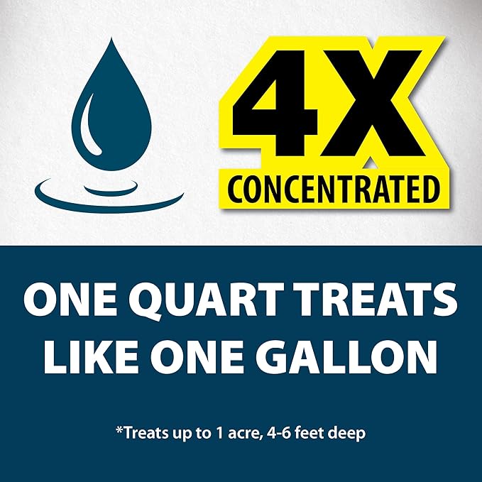 Airmax Black DyeMond Pond Dye 4X Concentrate for Outdoor Ponds & Lakes, Natural Pond Colorant & Beauty Enhancer, Block Ultraviolet Rays, Fish, Bird & Livestock Safe, Easy Liquid Application, 1 Quart-PurrikoPets