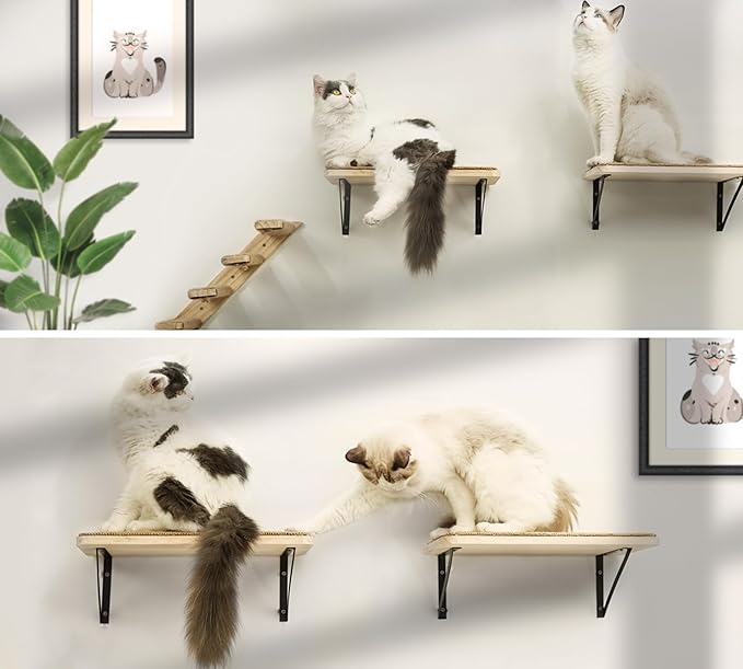 2PCS Cat Wall Shelves with Scratching Mat, 16.6x9.7 Inch Large Cat Wall Hammock Cats Furniture Shelf Window Perch Wall Mounted Beds for Household Pets Sleeping, Playing, Climbing-PurrikoPets