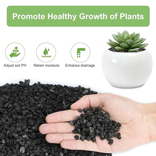 2.5lbs Lava Rocks for Plants, 1/5 Inch Black Gravel for Succulent, Cactus, Bonsai Tree, Pure Volcanic Rocks, Top-Dressing, Good Drainage-PurrikoPets