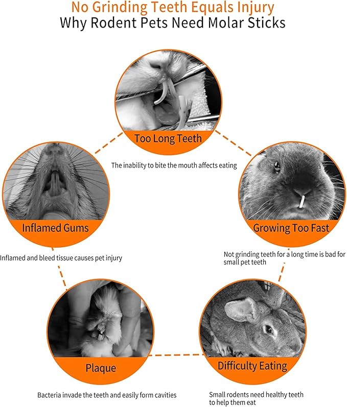 600g Apple Sticks Molar Wood Treats, Rabbit Toys Chinchilla Guinea Pig Bunny Toys Wood Chews Sticks for Teeth Rabbit Food Guinea Pig Hamster Gerbil Chews Small Animals Snacks(150 Pcs)-PurrikoPets