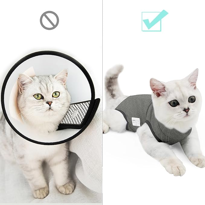 DOTON Cat Recovery Suit for Male and Female Surgical Post Surgery Soft Cone Onesie Shirt Clothes Neuter Licking Protective Diapers Outfit Cover Kitten Spay Collar(S, Grey)-PurrikoPets