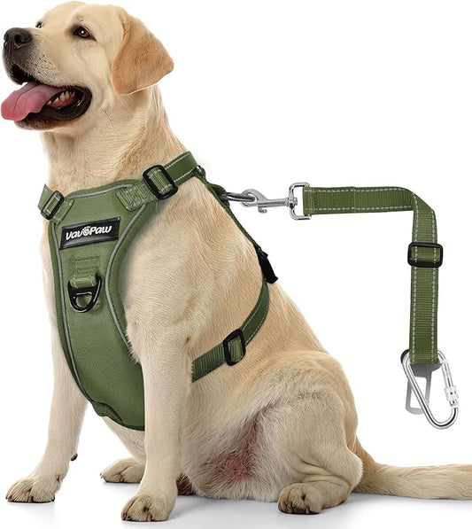 Dog Seat Belt Harness for Car, Dog Car Harness Adjustable Mesh Breathable & Dogs Seatbelt Safety Tether with Elastic Bungee for Small Medium Large Pets(Army Green, XL)-PurrikoPets