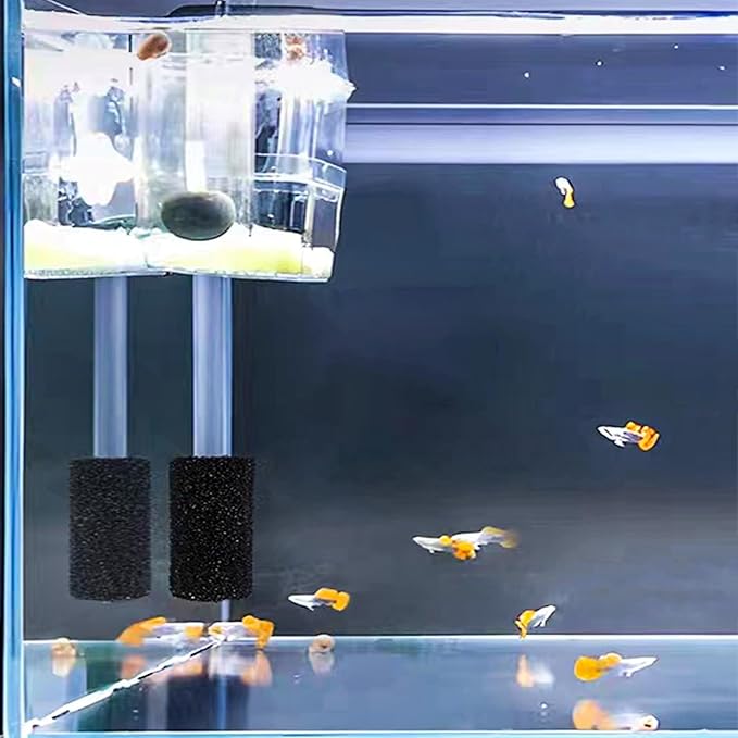 6X Pre-Filter Sponge for Aquarium Shrimp Fry Fish Tank Filter Pump Prefilter Sponge Replacement Foam Cover 2.4 X 1.4 Inch with 0.4" Hole Diameter-PurrikoPets