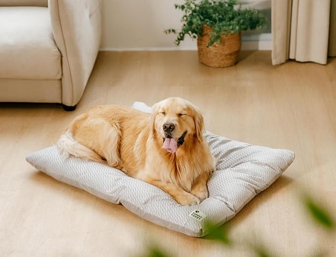 FUNNY FUZZY Washable Dog Bed,Reversible Plush Dog Crate Mat, Soft Fluffy Kennel Pad,Pet Sleeping Mattress for Large,Jumbo,Medium Sized Dogs Breeds,Indoor Cats,41.7" × 28.3", Light Grey-PurrikoPets
